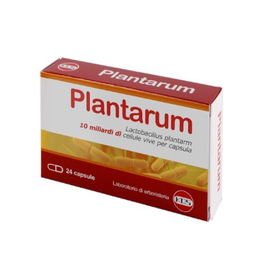 Lactobacillus plantarum - 24 capsule - Kos